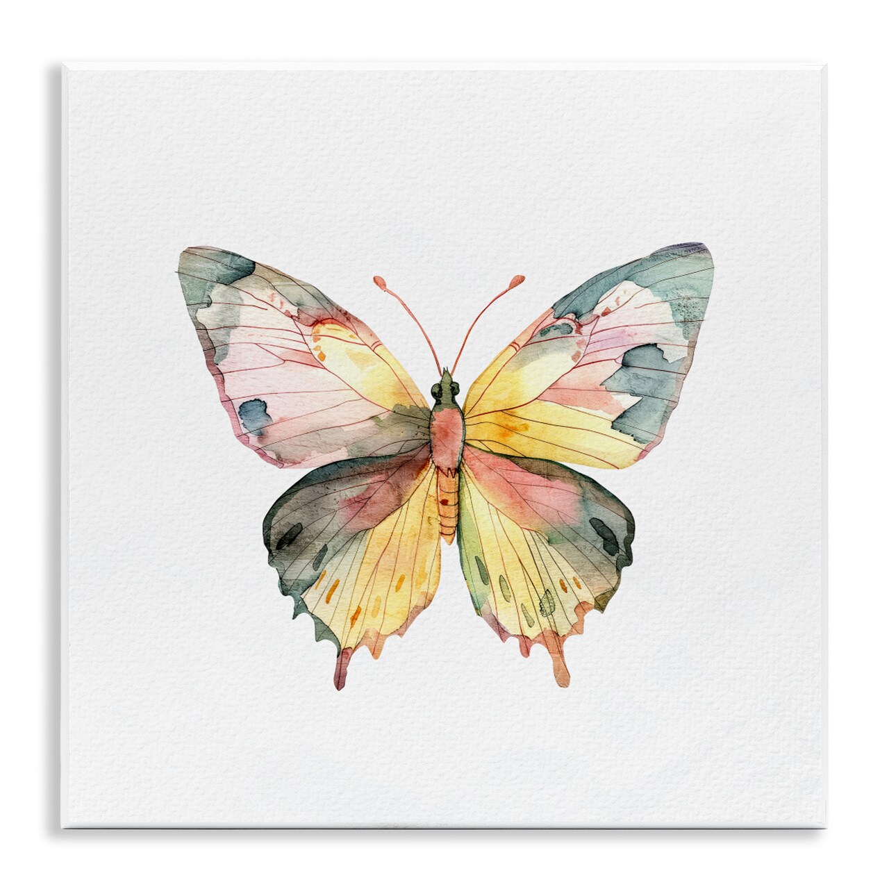 Stupell Industries Watercolor Butterfly Subtlety Wall Plaque, design by Kim Allen
